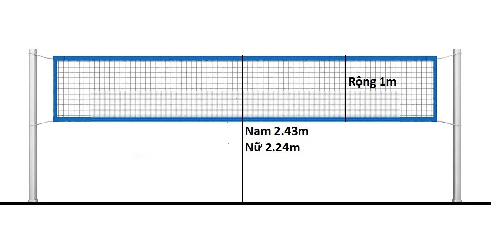 lưới bóng chuyền nữ cao bao nhiêu luôn là câu hỏi gây nhiều tò mò cho người mới bắt đầu 
