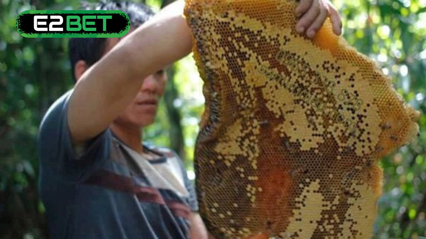 Nằm Mơ Thấy Tổ Ong Mật Đánh Đề Con Gì? – Lời Giải Mã Từ Một Giấc Mơ Ngọt Ngào