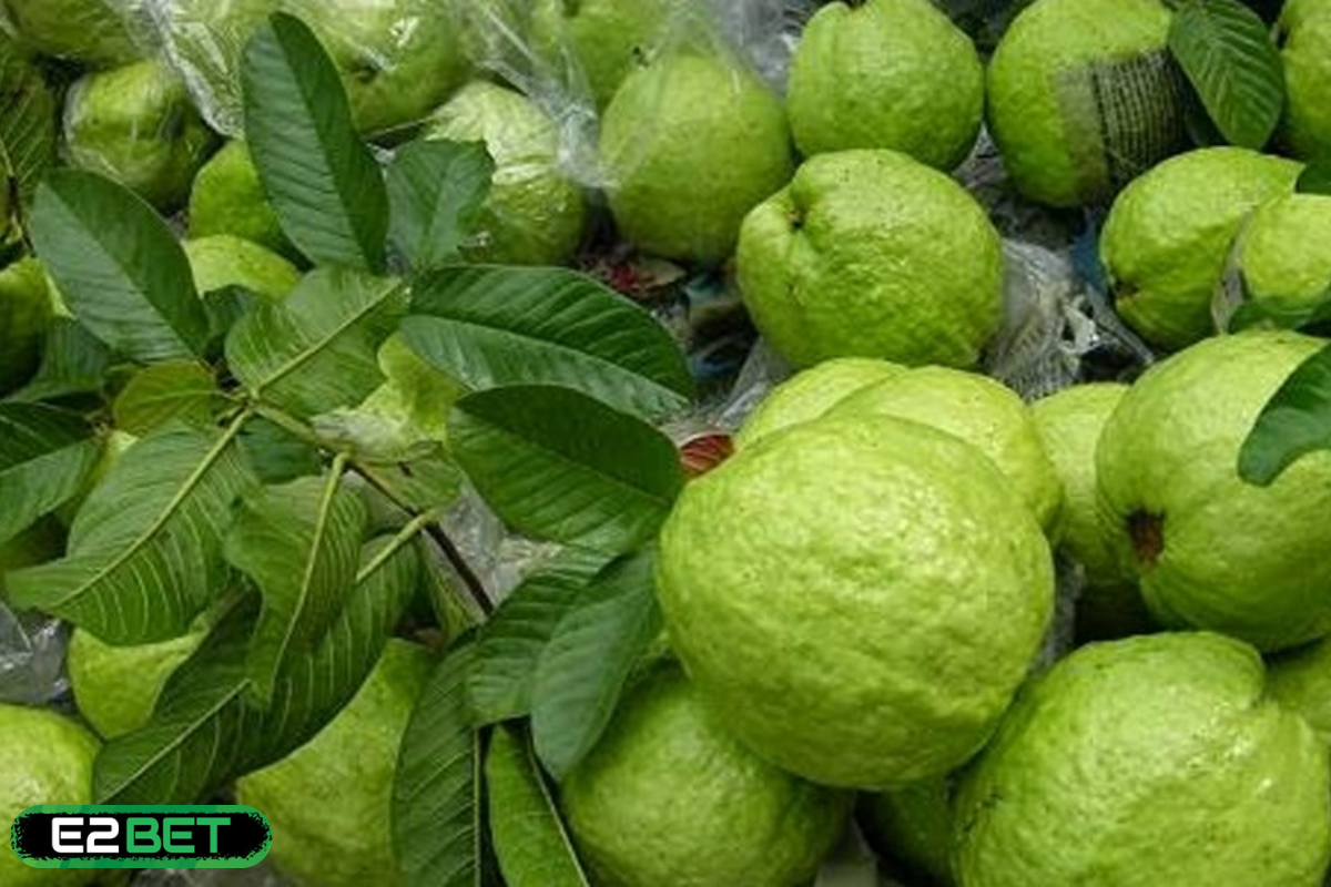 Nằm Mơ Thấy Trái Ổi Đánh Đề Con Gì? Giấc Mơ Hái Ra Tiền!