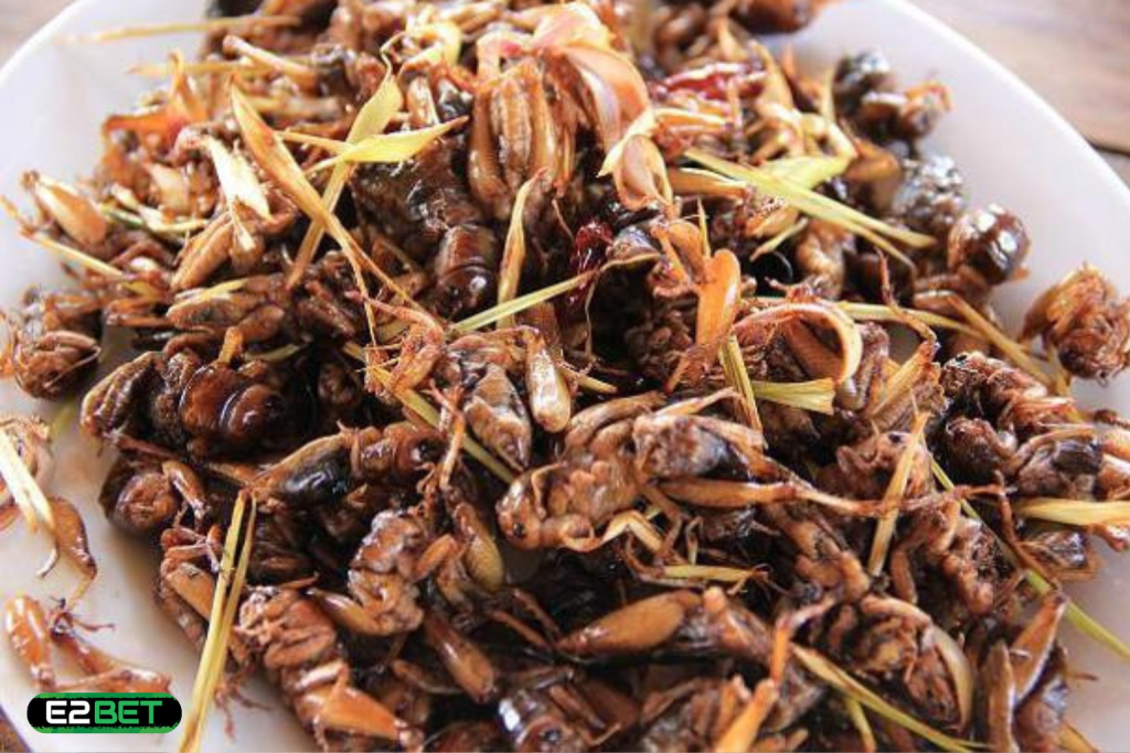 Mơ Thấy Con Dế Đánh Số Gì? E2BET Bật Mí Giấc Mơ Nhỏ – Số Lộc To!